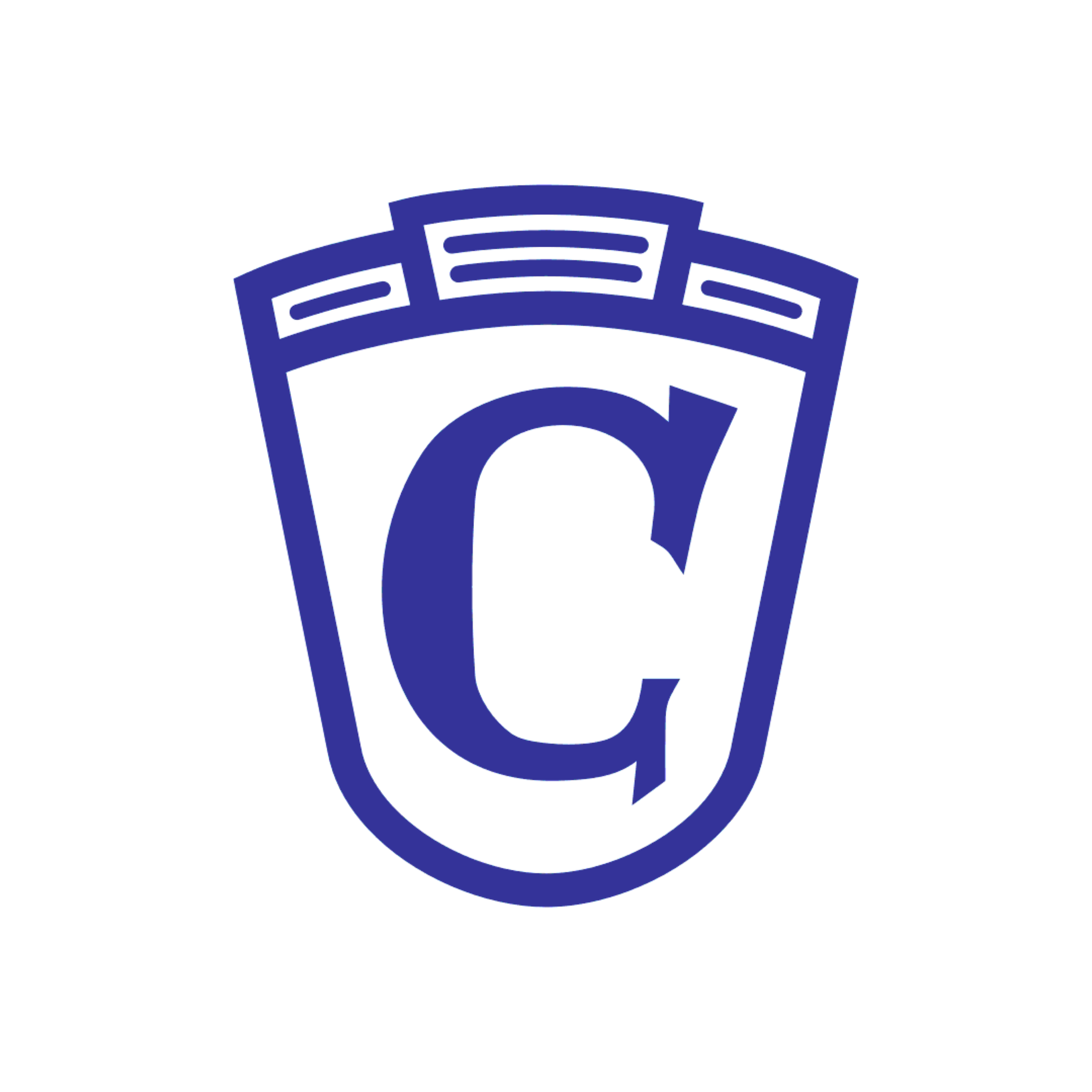 Logo CSV